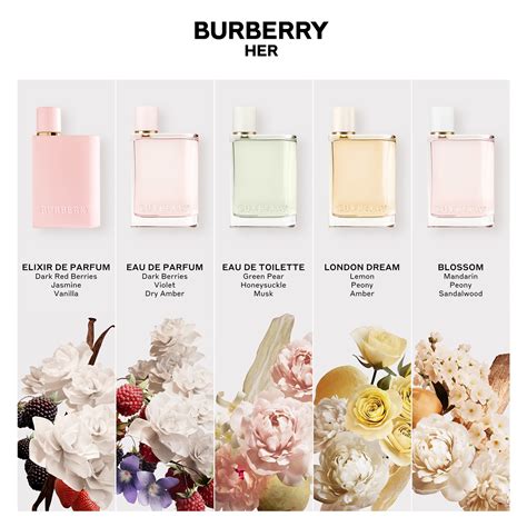 how does burberry for women smell|Burberry her elixir noted.